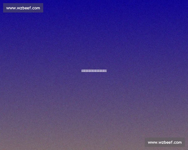 南半球的德甲迷：我的跨洋足球情缘