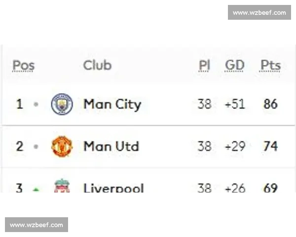 维克vs新时代对决解析技术路线与市场格局的深度观察与未来走向