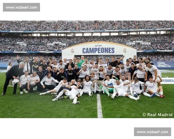 皇马主场迎战阿尔梅里亚联赛争冠关键之夜战术对决与球星表现前瞻