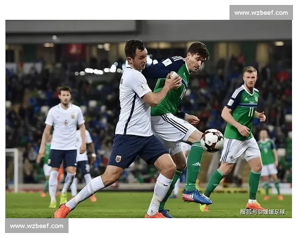 捷克对阵北爱尔兰关键之战解析双方实力与走势前瞻与胜负悬念